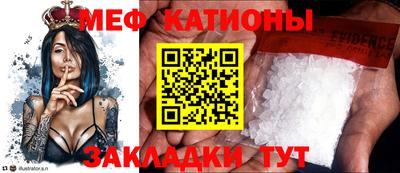 гашик Шелехов