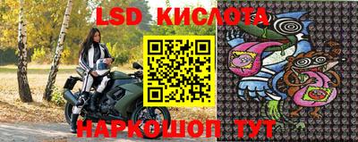 гашик Шелехов