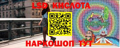 гашик Шелехов