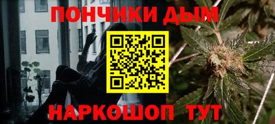 гашик Шелехов