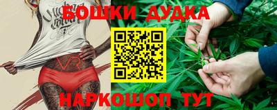 гашик Шелехов