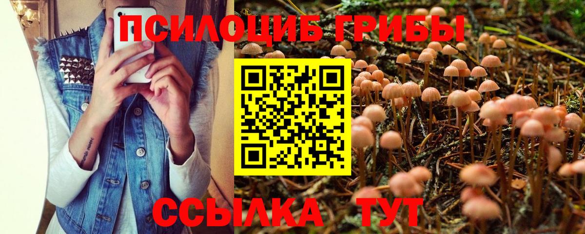 Фурманов  Галлюциногенные грибы мухоморы  Вход с VPN 