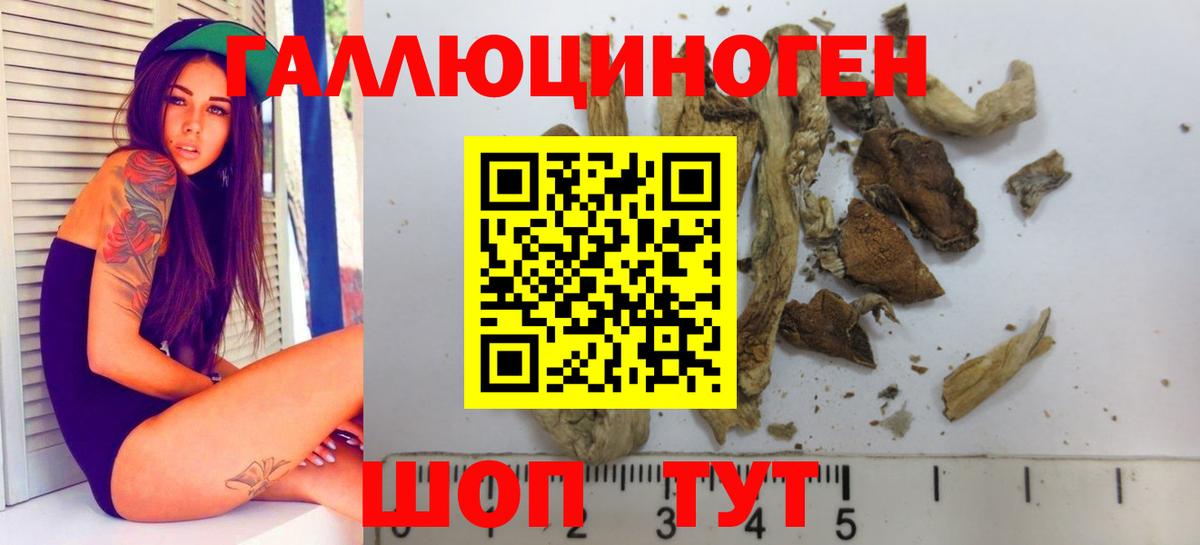 Галлюциногенные грибы MAGIC MUSHROOMS Фурманов